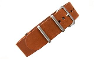 Saddle Kangaroo